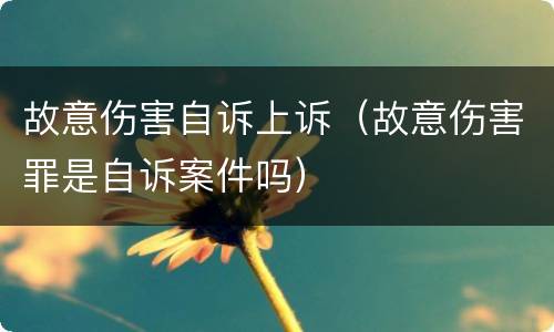 故意伤害自诉上诉（故意伤害罪是自诉案件吗）