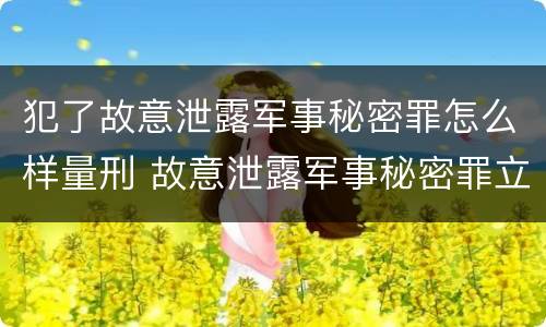 犯了故意泄露军事秘密罪怎么样量刑 故意泄露军事秘密罪立案标准
