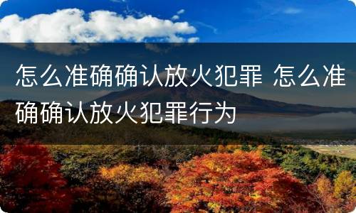 怎么准确确认放火犯罪 怎么准确确认放火犯罪行为