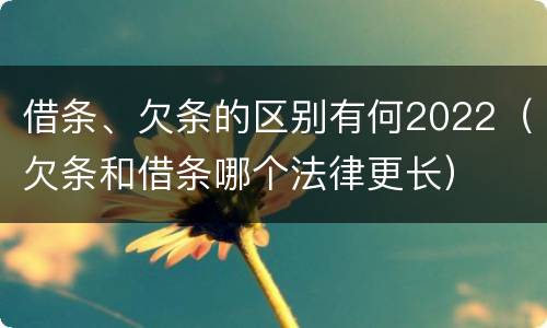 借条、欠条的区别有何2022（欠条和借条哪个法律更长）