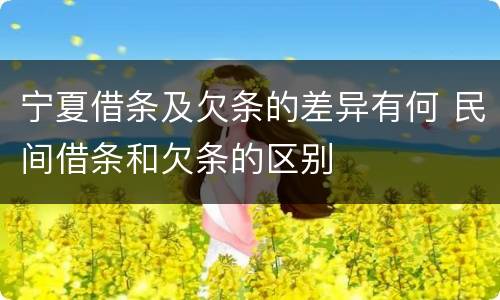 宁夏借条及欠条的差异有何 民间借条和欠条的区别
