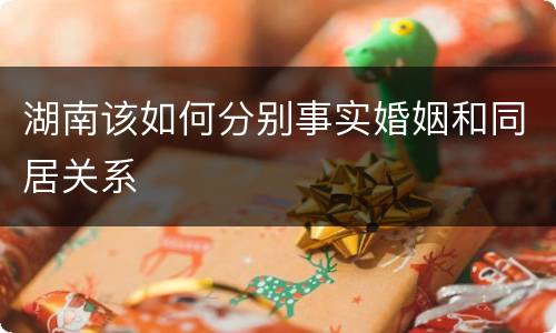 湖南该如何分别事实婚姻和同居关系