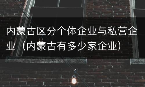 内蒙古区分个体企业与私营企业（内蒙古有多少家企业）