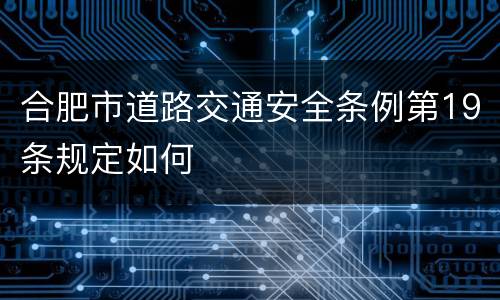 合肥市道路交通安全条例第19条规定如何