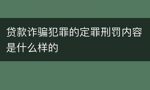 贷款诈骗犯罪的定罪刑罚内容是什么样的