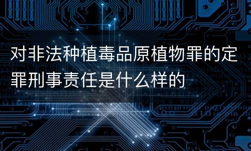 对非法种植毒品原植物罪的定罪刑事责任是什么样的