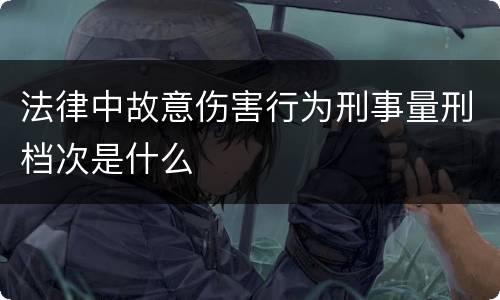 法律中故意伤害行为刑事量刑档次是什么