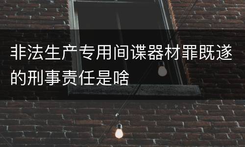 非法生产专用间谍器材罪既遂的刑事责任是啥