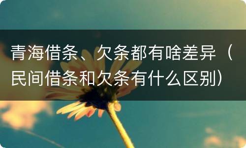 青海借条、欠条都有啥差异（民间借条和欠条有什么区别）