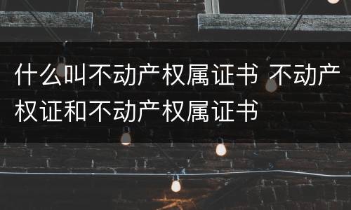 什么叫不动产权属证书 不动产权证和不动产权属证书