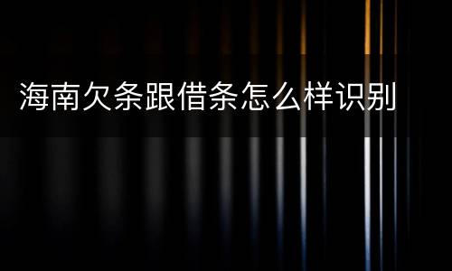海南欠条跟借条怎么样识别