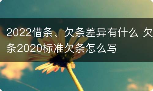 2022借条、欠条差异有什么 欠条2020标准欠条怎么写