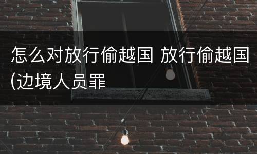 怎么对放行偷越国 放行偷越国(边境人员罪