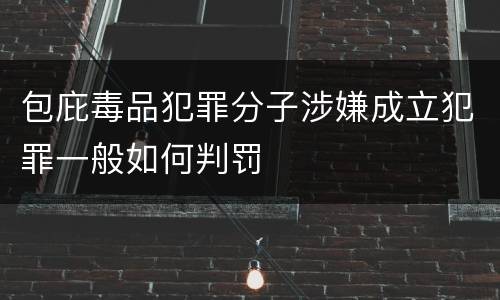 包庇毒品犯罪分子涉嫌成立犯罪一般如何判罚
