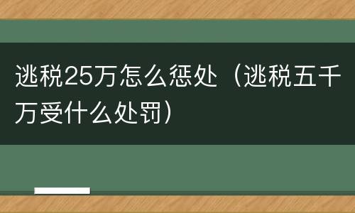 逃税25万怎么惩处（逃税五千万受什么处罚）