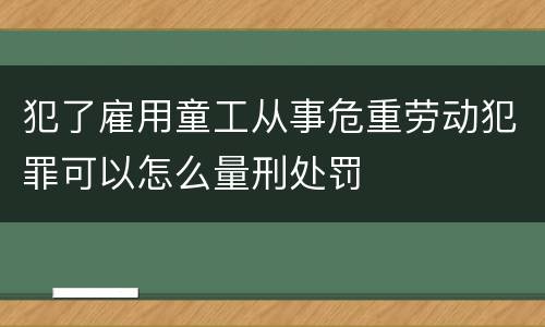 犯了雇用童工从事危重劳动犯罪可以怎么量刑处罚