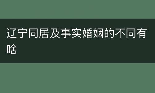 辽宁同居及事实婚姻的不同有啥