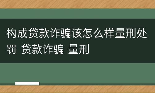 构成贷款诈骗该怎么样量刑处罚 贷款诈骗 量刑