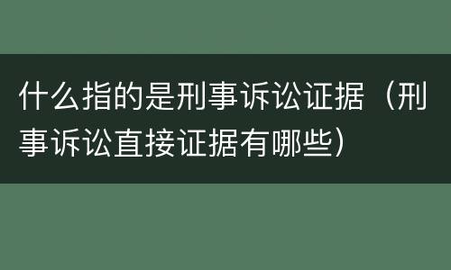 什么指的是刑事诉讼证据（刑事诉讼直接证据有哪些）