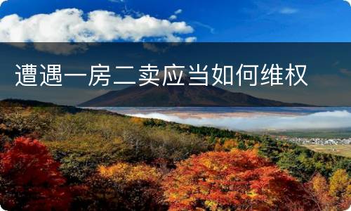 遭遇一房二卖应当如何维权