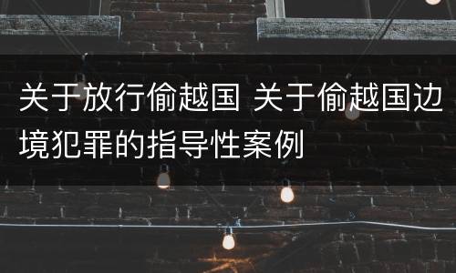关于放行偷越国 关于偷越国边境犯罪的指导性案例