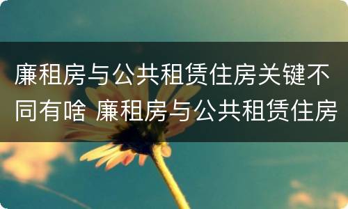 廉租房与公共租赁住房关键不同有啥 廉租房与公共租赁住房关键不同有啥影响