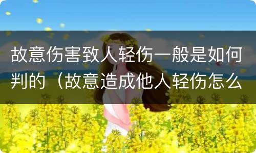 故意伤害致人轻伤一般是如何判的（故意造成他人轻伤怎么判）