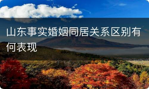 山东事实婚姻同居关系区别有何表现