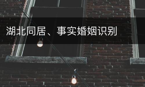 湖北同居、事实婚姻识别