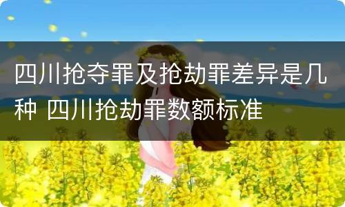 四川抢夺罪及抢劫罪差异是几种 四川抢劫罪数额标准