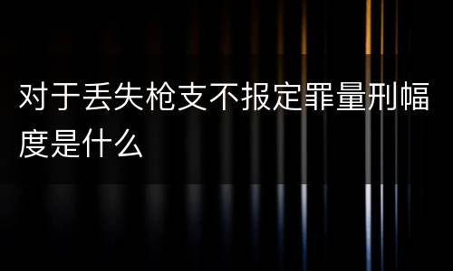 对于丢失枪支不报定罪量刑幅度是什么