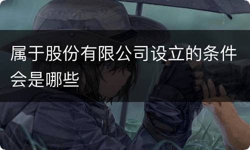 属于股份有限公司设立的条件会是哪些