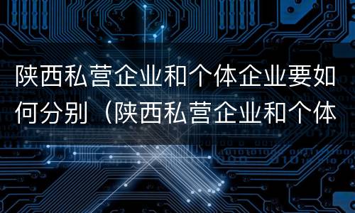 陕西私营企业和个体企业要如何分别（陕西私营企业和个体企业要如何分别交税）