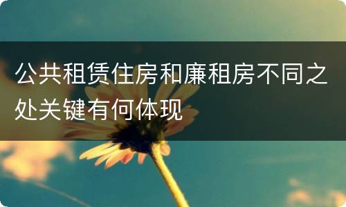 公共租赁住房和廉租房不同之处关键有何体现