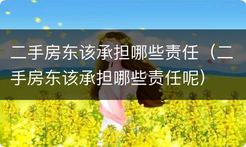 二手房东该承担哪些责任（二手房东该承担哪些责任呢）