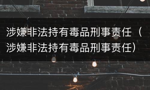 涉嫌非法持有毒品刑事责任（涉嫌非法持有毒品刑事责任）