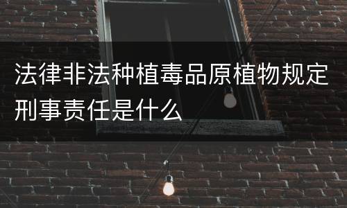 法律非法种植毒品原植物规定刑事责任是什么