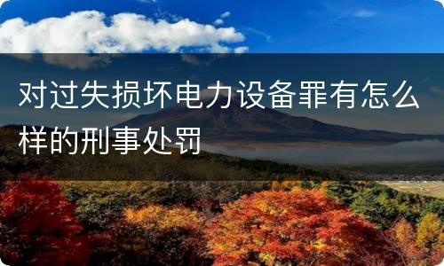 对过失损坏电力设备罪有怎么样的刑事处罚