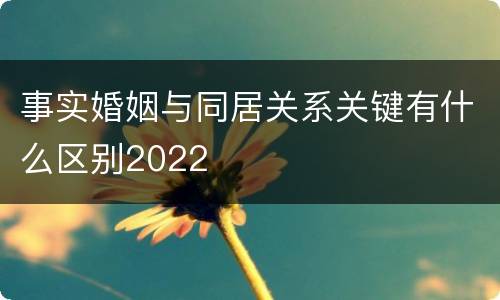 事实婚姻与同居关系关键有什么区别2022
