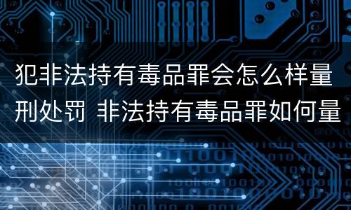 犯非法持有毒品罪会怎么样量刑处罚 非法持有毒品罪如何量刑