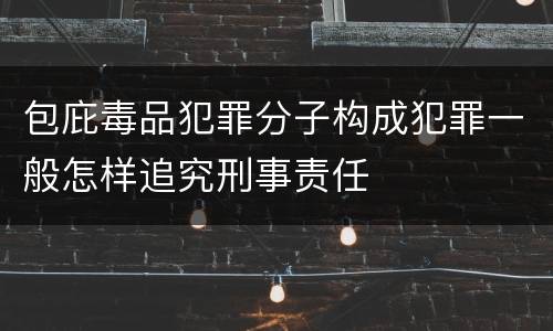 包庇毒品犯罪分子构成犯罪一般怎样追究刑事责任