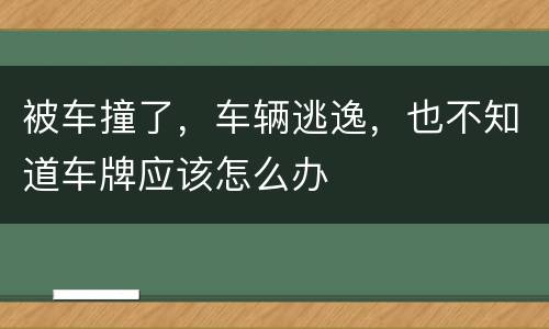 被车撞了，车辆逃逸，也不知道车牌应该怎么办