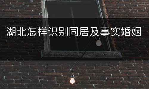 湖北怎样识别同居及事实婚姻