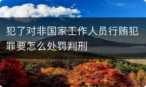 犯了对非国家工作人员行贿犯罪要怎么处罚判刑