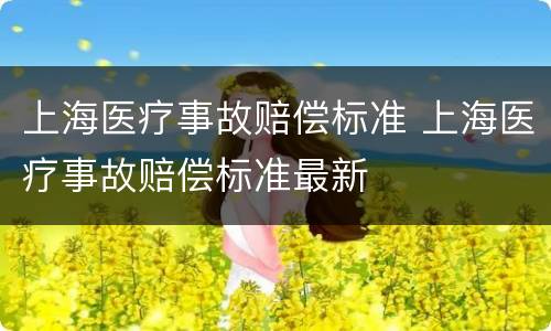 上海医疗事故赔偿标准 上海医疗事故赔偿标准最新