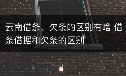 云南借条、欠条的区别有啥 借条借据和欠条的区别
