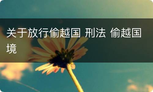 关于放行偷越国 刑法 偷越国境