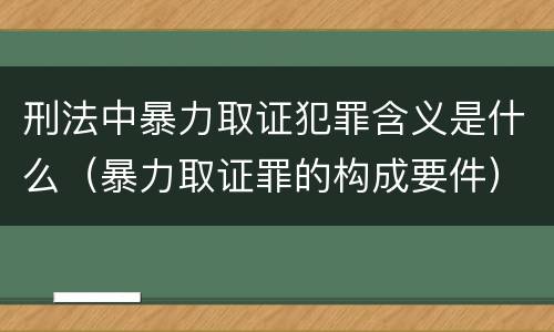 刑法中暴力取证犯罪含义是什么（暴力取证罪的构成要件）