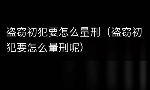 盗窃初犯要怎么量刑（盗窃初犯要怎么量刑呢）