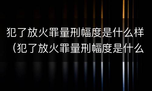 犯了放火罪量刑幅度是什么样（犯了放火罪量刑幅度是什么样子的）